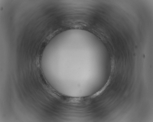 X0000081620182200701151104