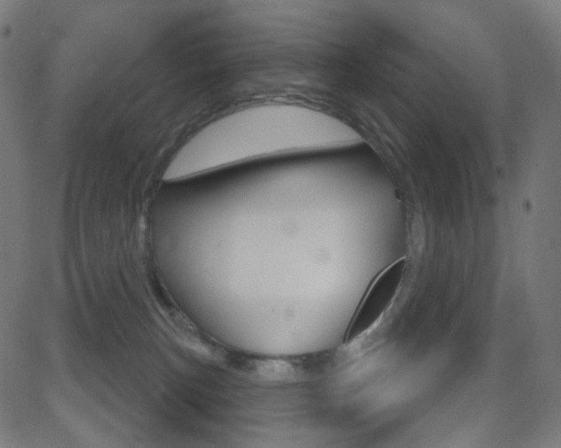 X0000081620183200701151104