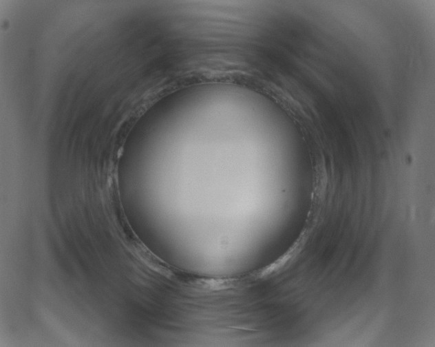 X0000081620184200701151104