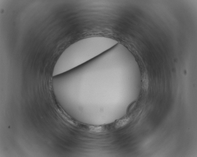 X0000081620185200701151104