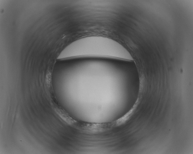 X0000081620186200701151104
