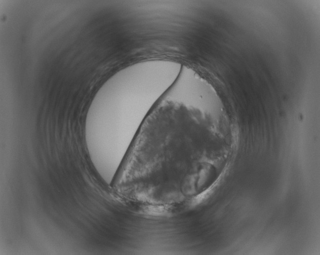 X0000081620187200701151104