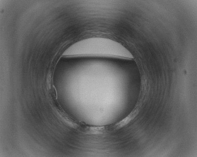 X0000081620188200701151104