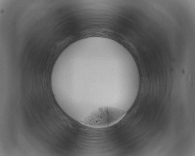 X0000081620189200701151104