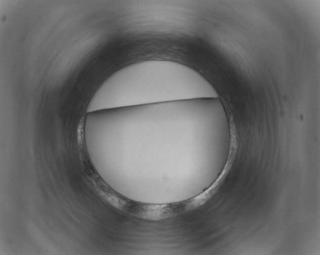 X0000081620191200701151104