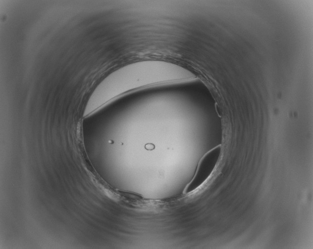 X0000081620192200701151104