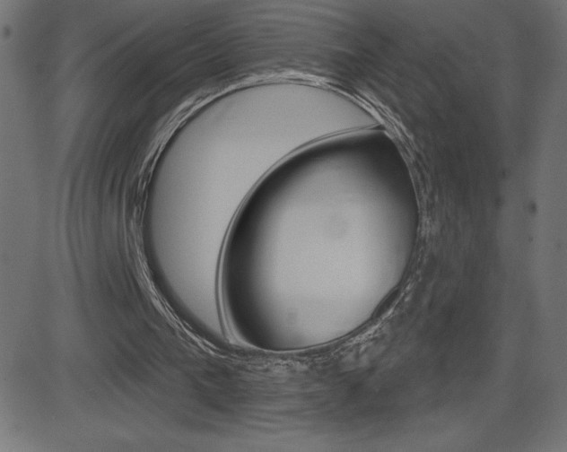 X0000081620193200701151103