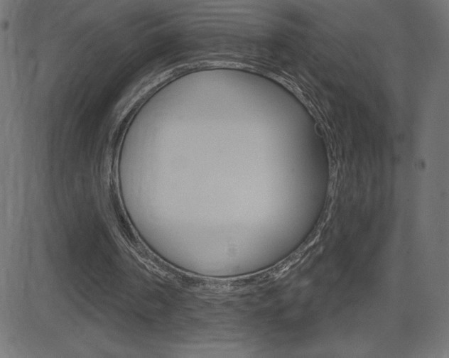 X0000081620194200701151103