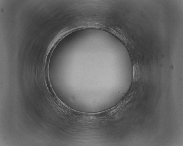X0000081620195200701151103