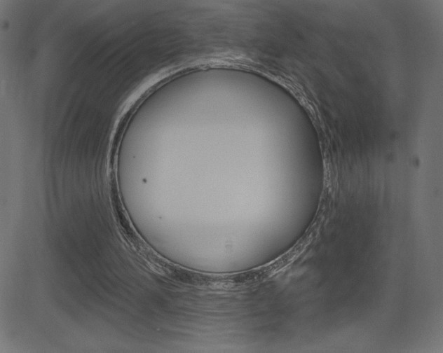 X0000081620196200701151103