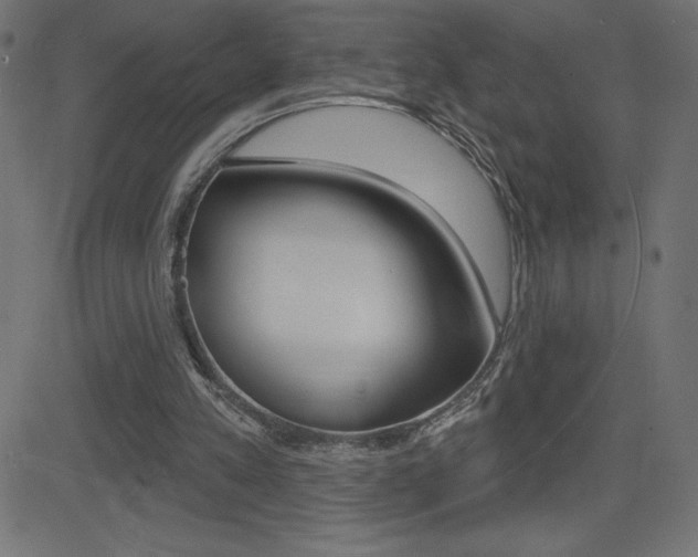 X0000081620197200701151103