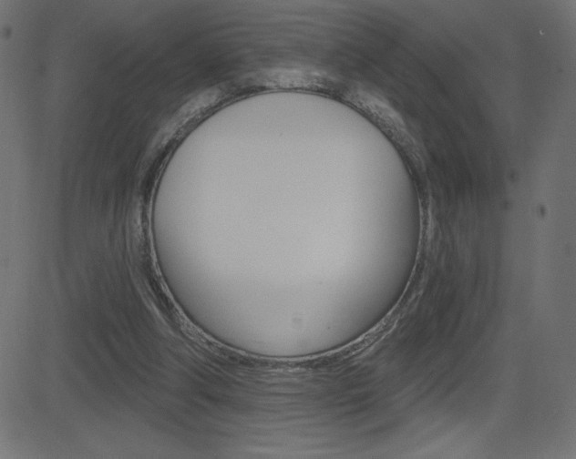 X0000081620202200701151103