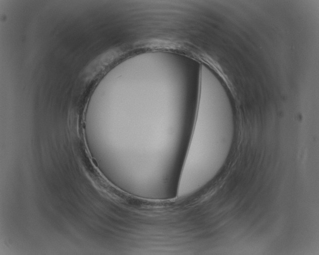 X0000081620205200701151103