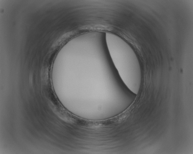 X0000081620206200701151103