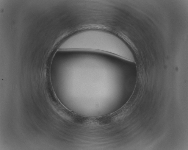 X0000081620207200701151103