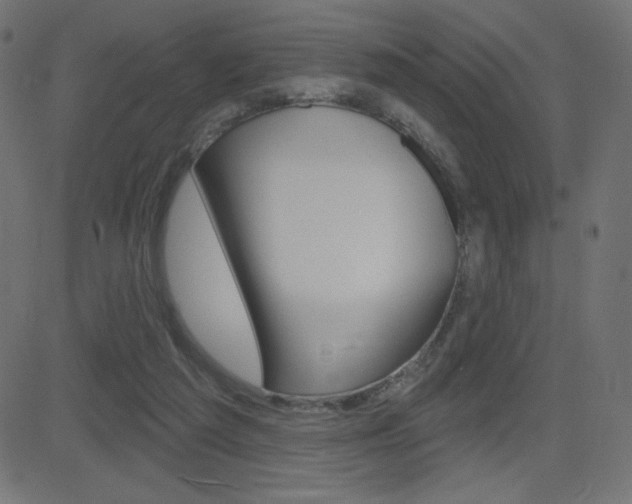 X0000081620209200701151103