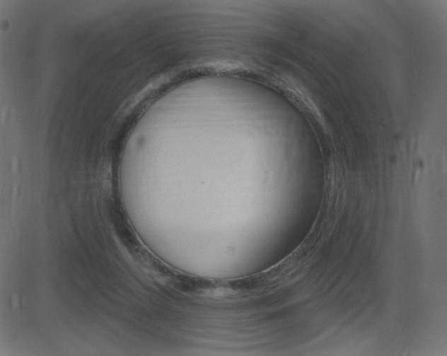 X0000081620212200701151103