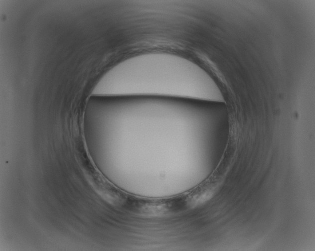 X0000081620213200701151103