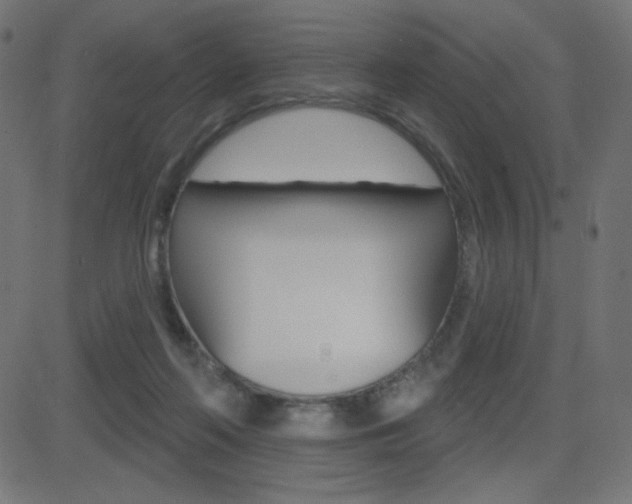 X0000081620214200701151103