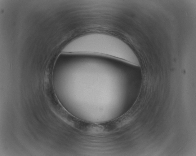 X0000081620215200701151103
