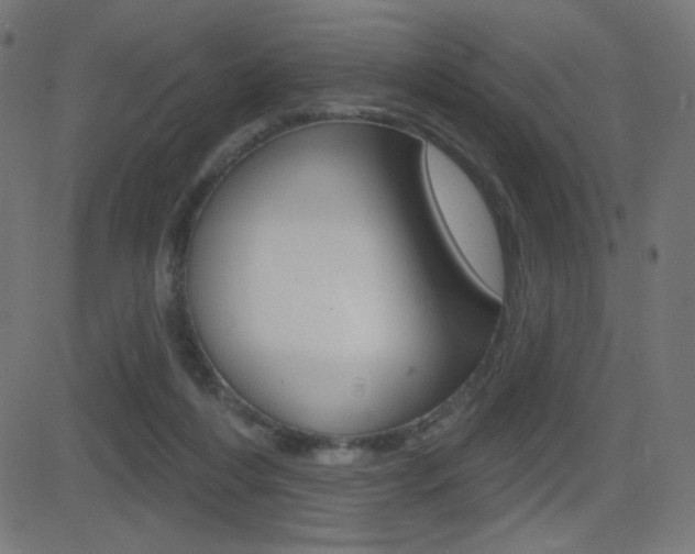 X0000081620216200701151103