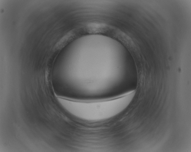 X0000081620219200701151103