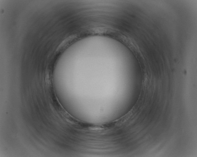 X0000081620220200701151103