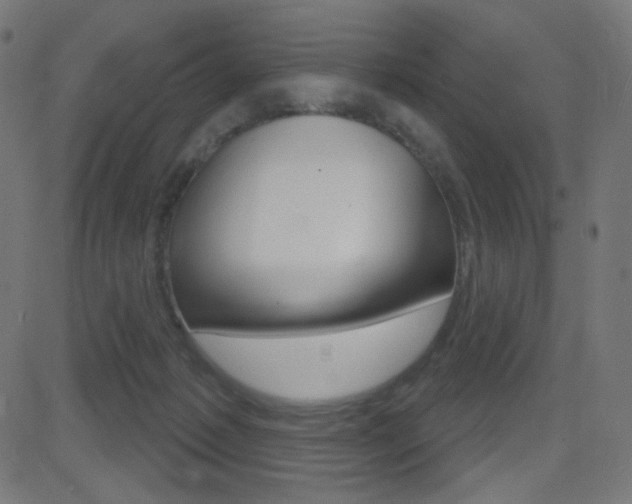 X0000081620221200701151103