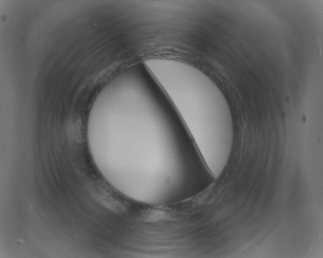 X0000081620224200701151103