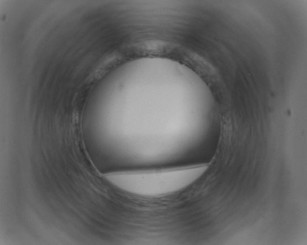 X0000081620225200701151103