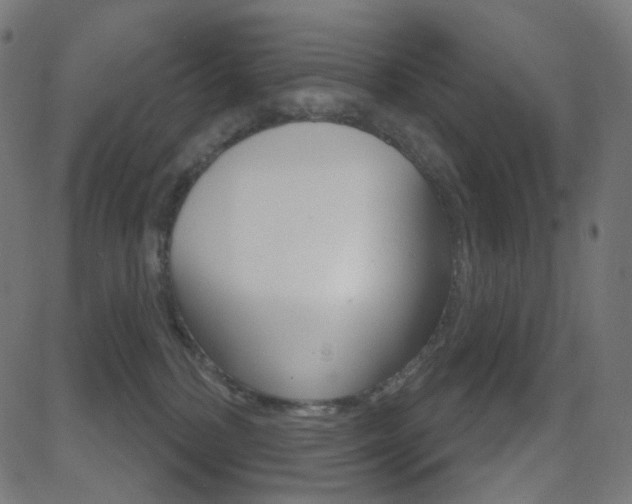 X0000081620232200701151103