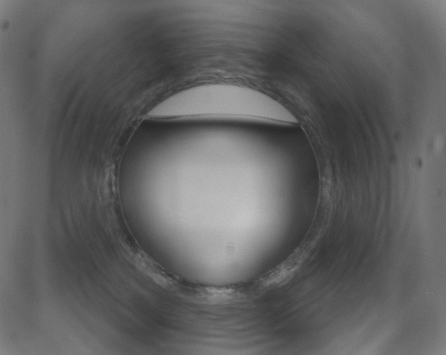 X0000081620233200701151103