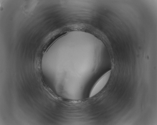X0000081620239200701151102