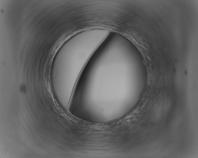 X0000081620241200701151102