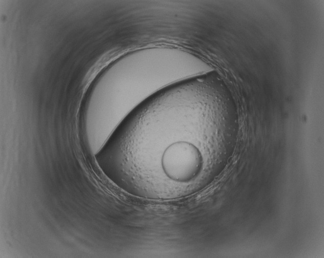 X0000081620242200701151102