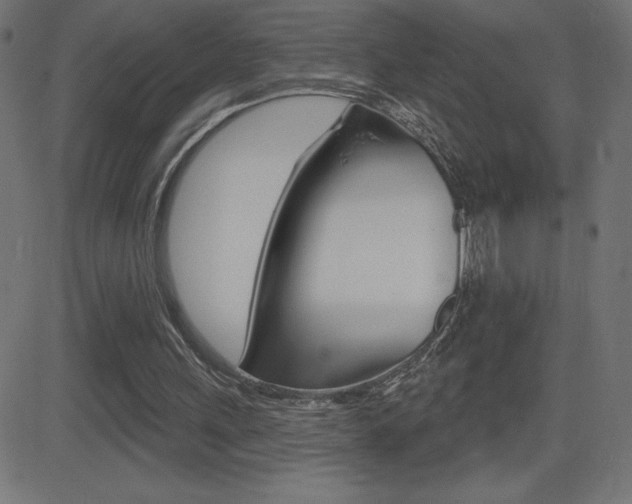 X0000081620243200701151102