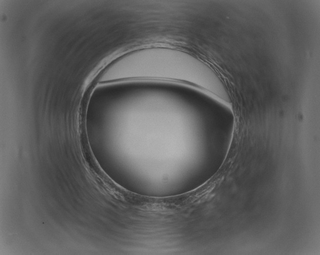 X0000081620244200701151102