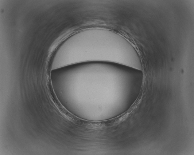 X0000081620245200701151102