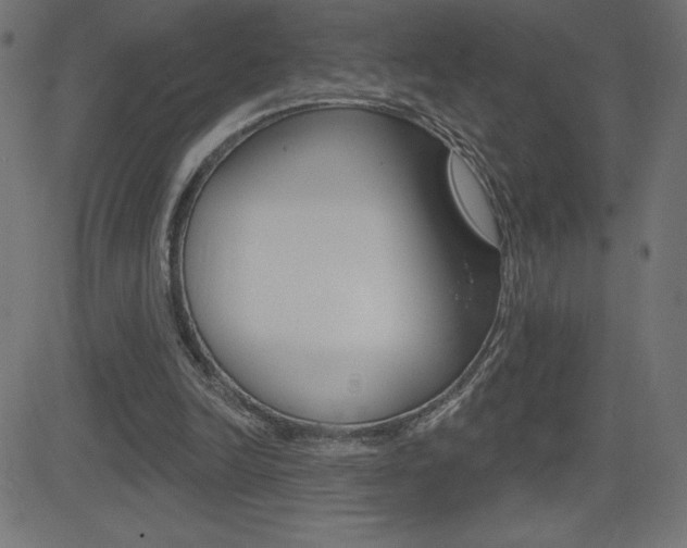 X0000081620246200701151102
