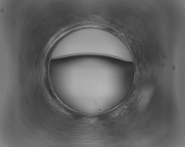 X0000081620247200701151102