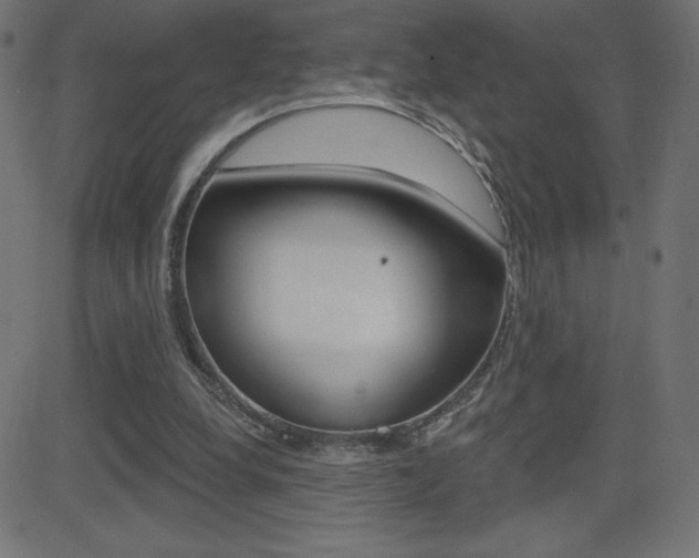 X0000081620248200701151102
