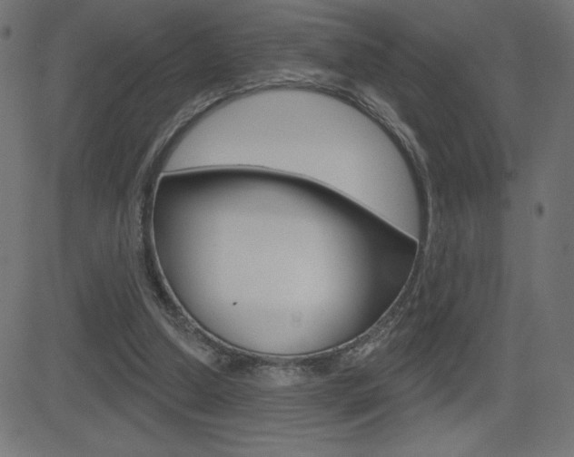 X0000081620250200701151102
