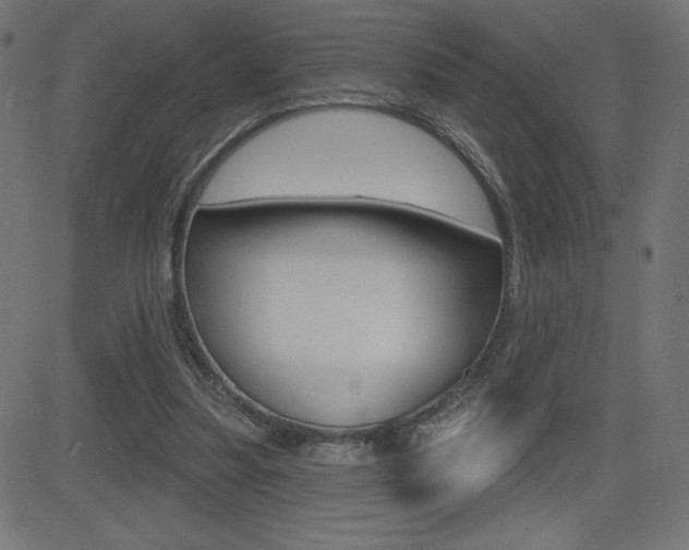 X0000081620251200701151102