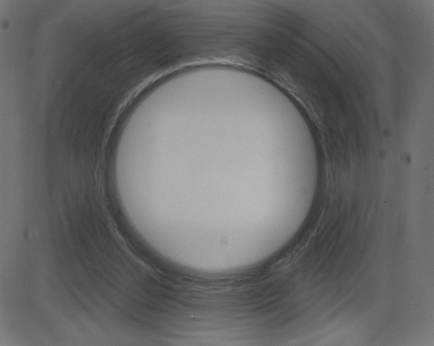 X0000081620252200701151102