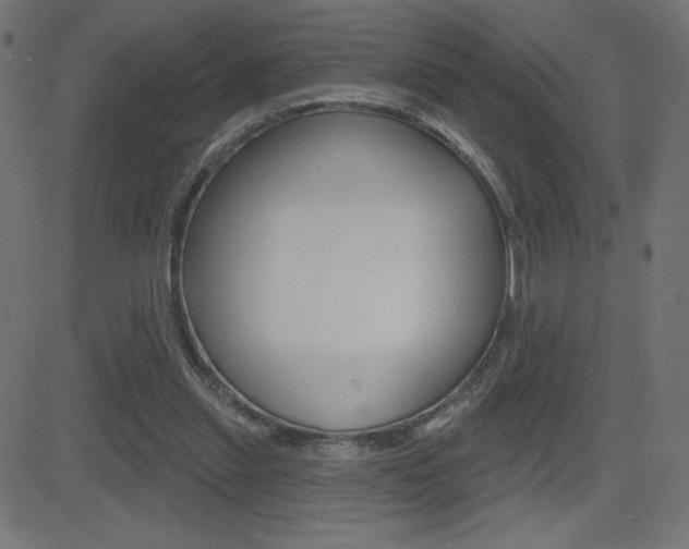 X0000081620253200701151102