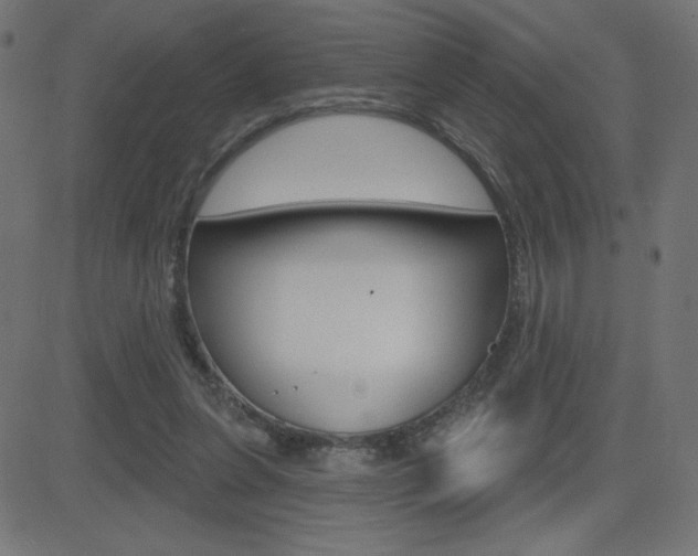 X0000081620255200701151102