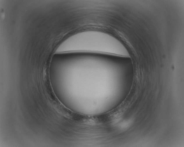 X0000081620259200701151102