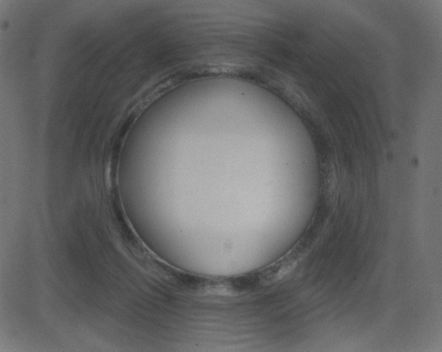 X0000081620262200701151102