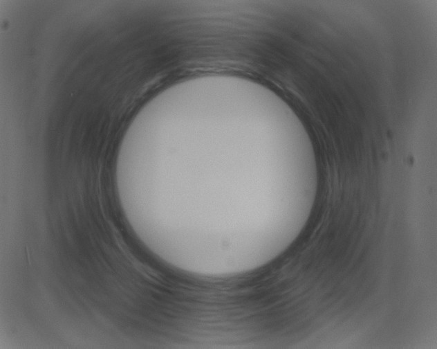 X0000081620264200701151102