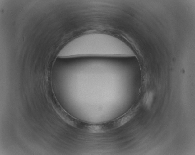 X0000081620265200701151102